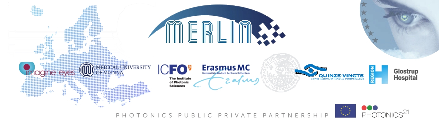 merlin project research group